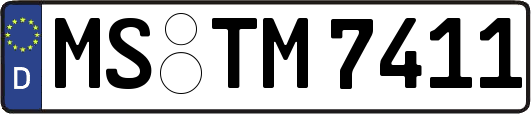 MS-TM7411