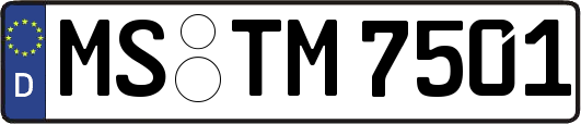 MS-TM7501