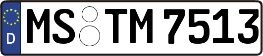 MS-TM7513