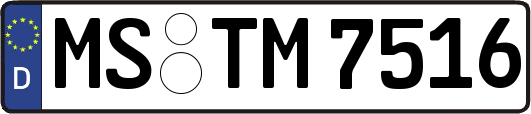 MS-TM7516