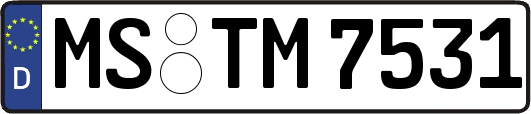 MS-TM7531