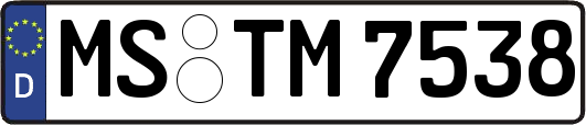 MS-TM7538