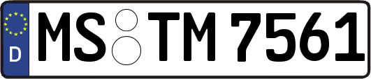 MS-TM7561