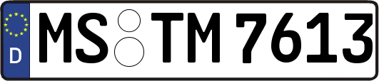MS-TM7613