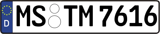 MS-TM7616