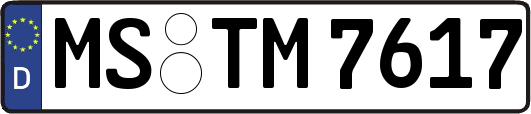 MS-TM7617
