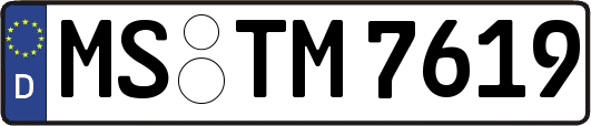 MS-TM7619