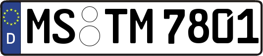 MS-TM7801