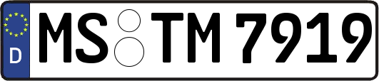 MS-TM7919