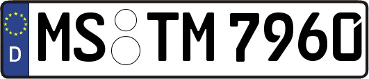MS-TM7960