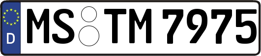 MS-TM7975