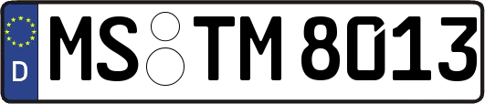 MS-TM8013
