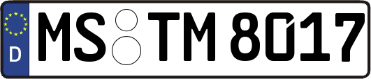 MS-TM8017