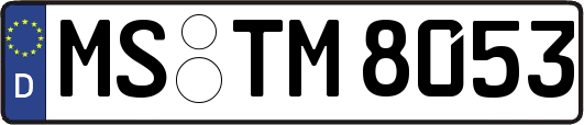 MS-TM8053