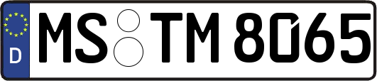 MS-TM8065