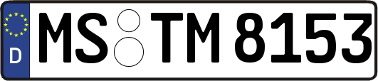 MS-TM8153