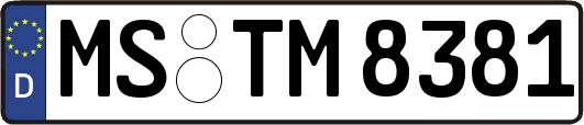 MS-TM8381
