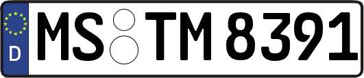 MS-TM8391