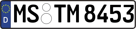 MS-TM8453