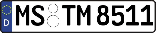 MS-TM8511