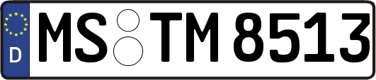 MS-TM8513