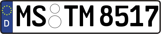 MS-TM8517