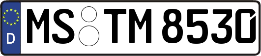 MS-TM8530