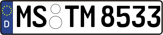 MS-TM8533