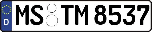 MS-TM8537