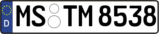 MS-TM8538
