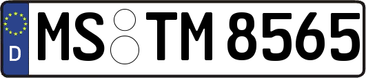 MS-TM8565