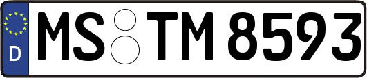 MS-TM8593