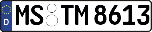 MS-TM8613