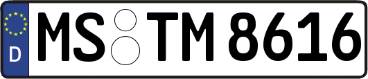 MS-TM8616