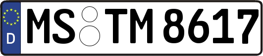 MS-TM8617