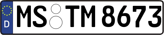 MS-TM8673