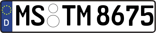 MS-TM8675