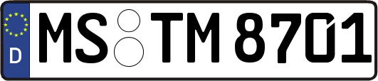 MS-TM8701