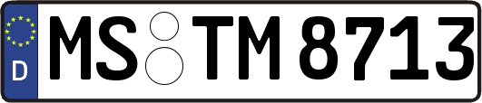 MS-TM8713