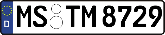 MS-TM8729