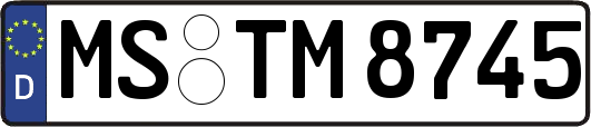 MS-TM8745