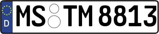 MS-TM8813