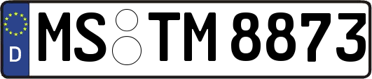 MS-TM8873