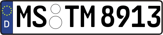 MS-TM8913