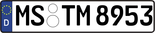 MS-TM8953