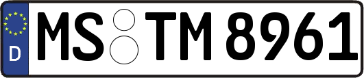 MS-TM8961