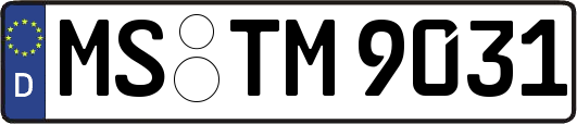 MS-TM9031