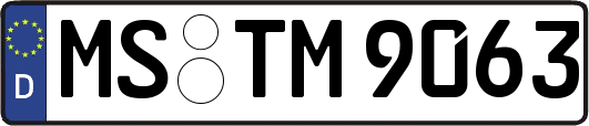 MS-TM9063
