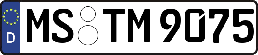 MS-TM9075