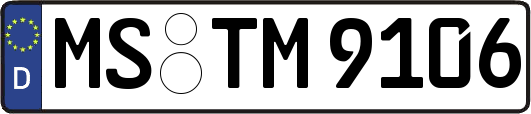 MS-TM9106